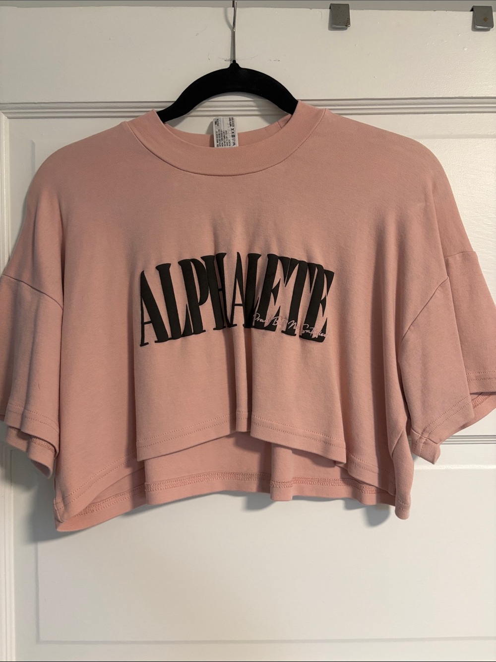 Alphalete Cropped Tee in Dusty Rose with Black Logo